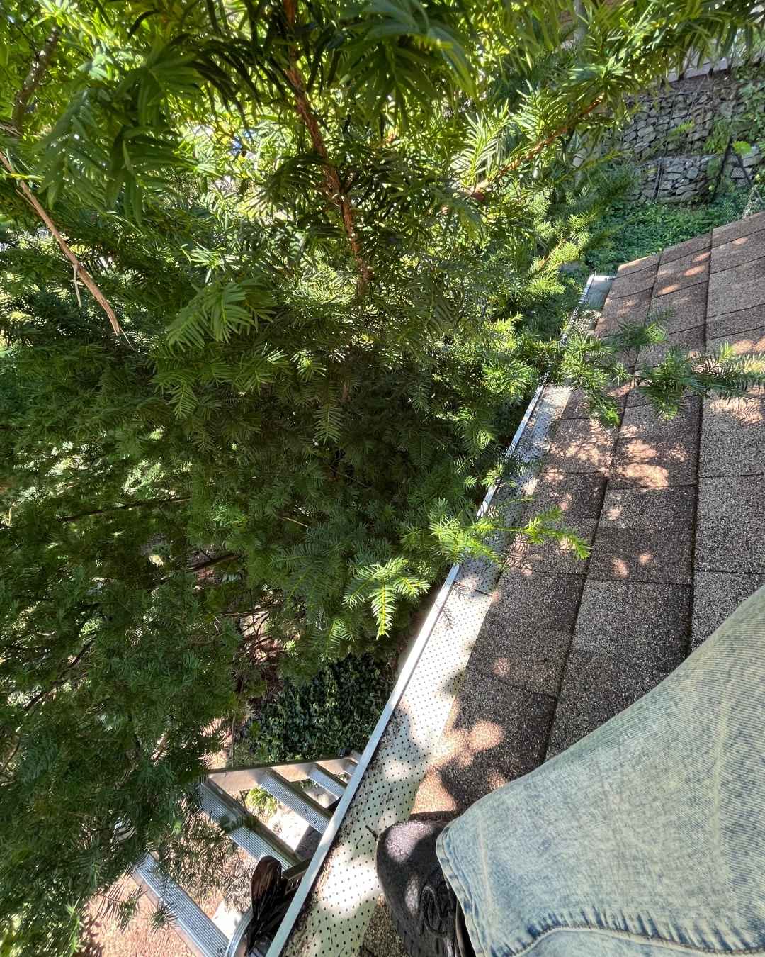 Gutter cleared of debris with proper drainage confirmed after cleaning in Ancaster, Hamilton